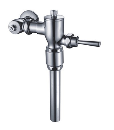 Can a manual toilet flush valve be used in a bidet toilet?